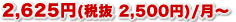 2625�~�i�Ŕ�2500�~�j/��